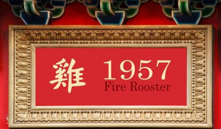 1957 Chinese Zodiac | Fire Rooster