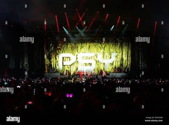 2013 PSY Concert All Night Standing