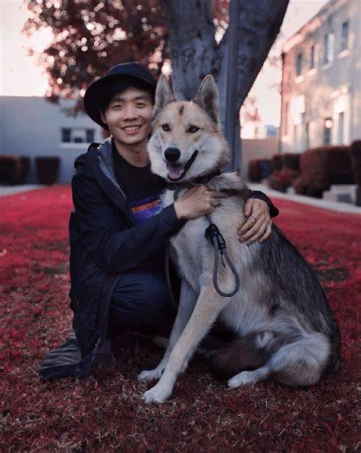 Albert Chang - Age, Family, Bio