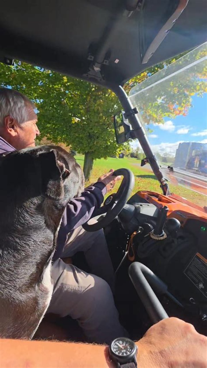 Alex taking a ride with his huskies