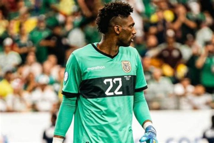 Alexander Domínguez Bio (Wiki) 