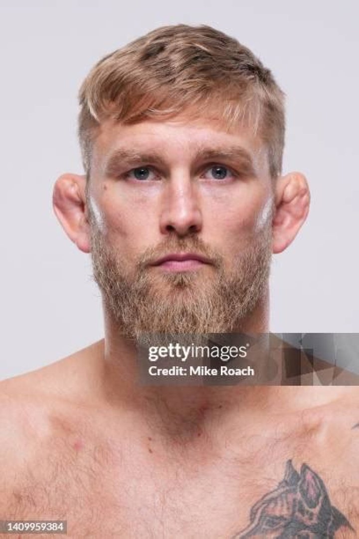 Alexander Gustafsson photo