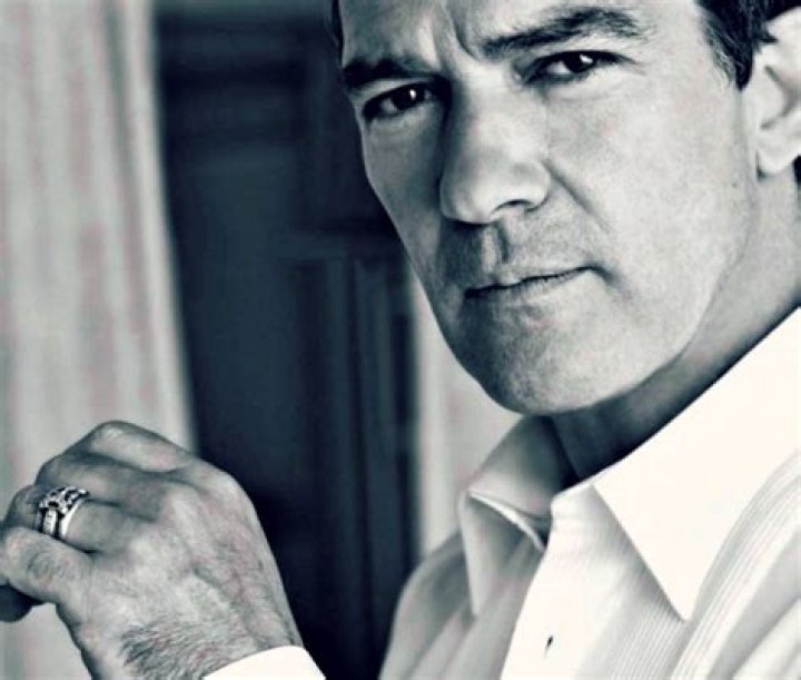 Antonio Banderas' pet Cats