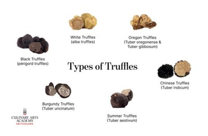 Are truffles made from poop?