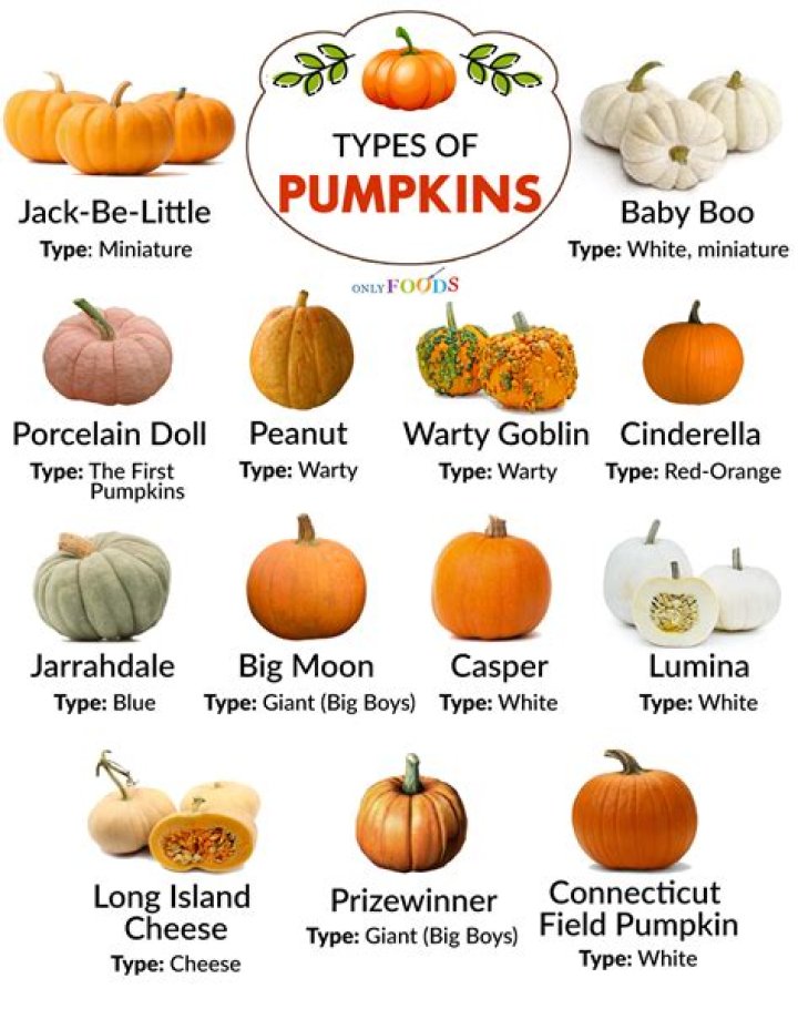Are yellow pumpkins edible?