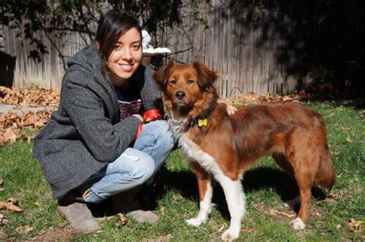 Aubrey Plaza Pets