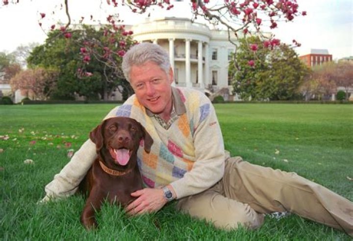 Bill Clinton Pets - Celebrity Pets