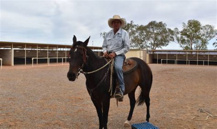 Bill Willoughby Bio (Wiki) 