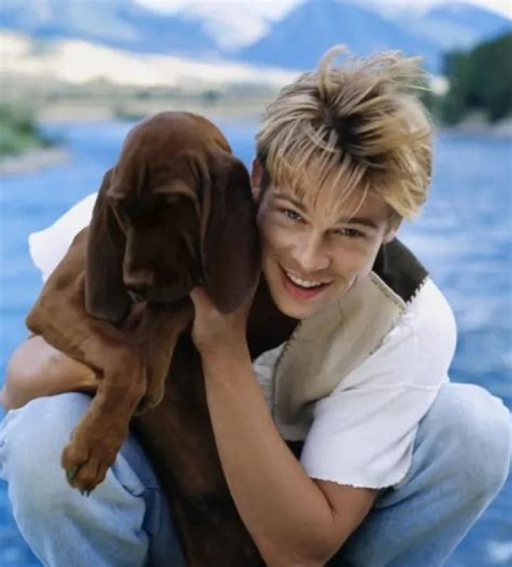 Brad Pitt Pets