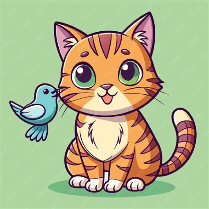Can a bird and a cat live together?
