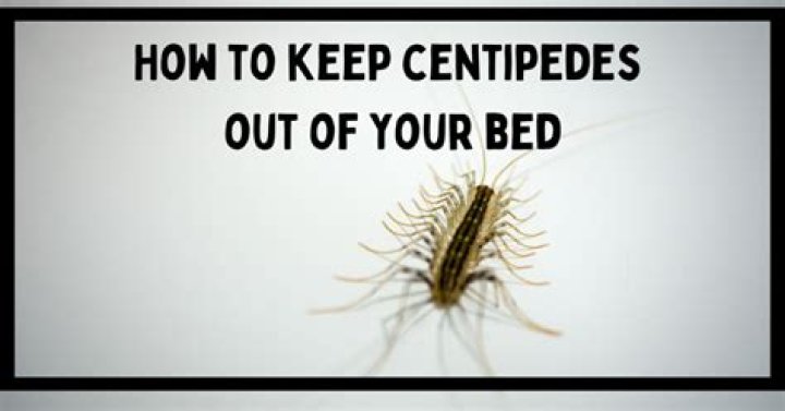 Can centipedes get in your bed?
