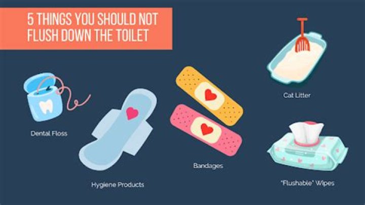 Can keys get flushed down the toilet?