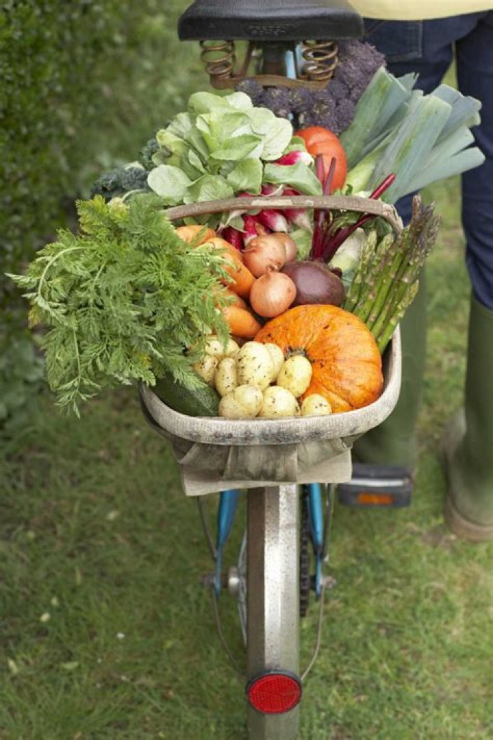 Can preen be used on vegetable gardens?