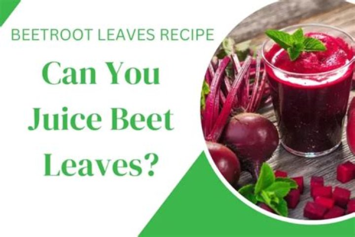 Can you juice beet leaves and stems?