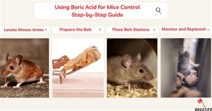 Can you use boric acid to kill mice?