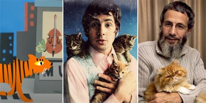 Cat Stevens photo 3