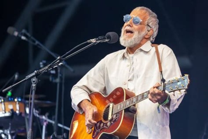 Cat Stevens photo