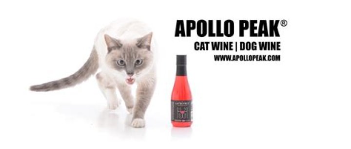 cat wine