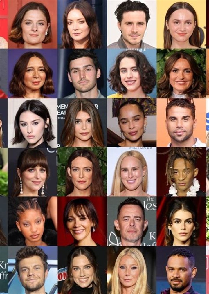 Celebrities named Fan