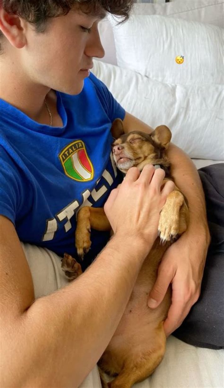 Charlie Bushnell Pets