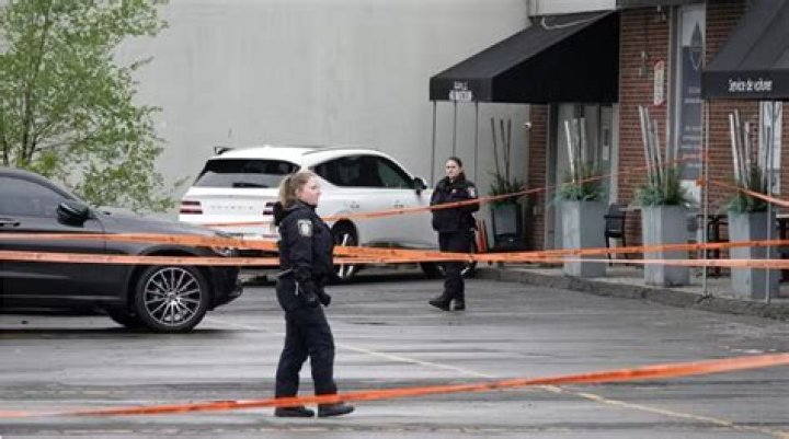 Claudia Iacono case update