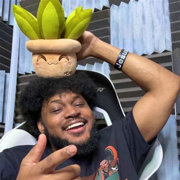 CoryxKenshin Bio (Wiki) 