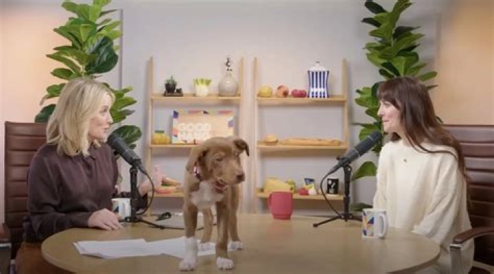 Dakota Johnson Pets - Celebrity Pets