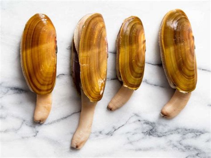 Do giant clams have teeth?