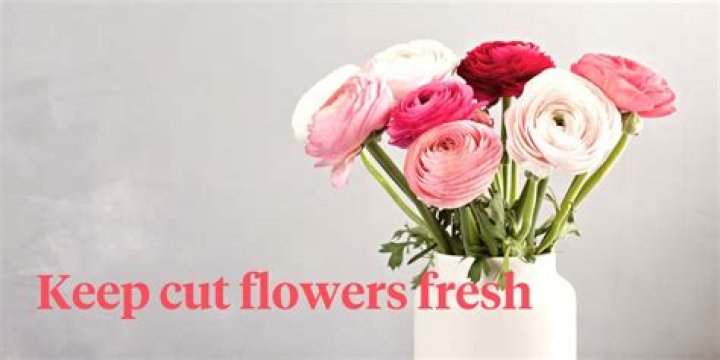 Do pennies keep flowers fresh?
