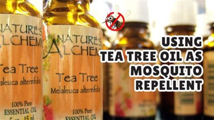 Does tea tree oil keep mosquitoes away?