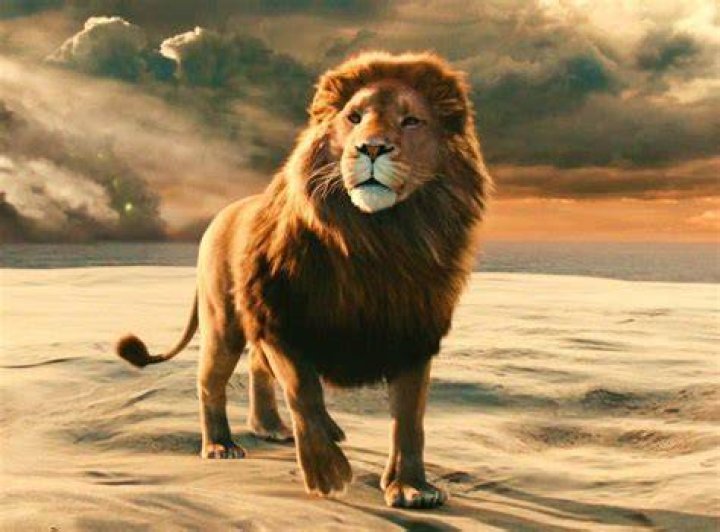 Does the lion die in Narnia?