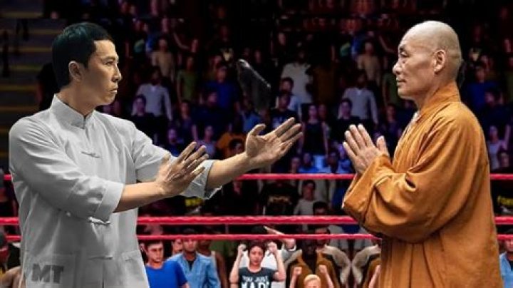 Donnie Yen Highlights