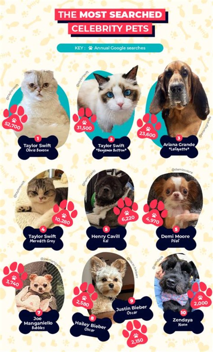 Gabbriette Pets - Celebrity Pets