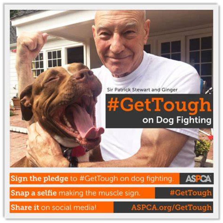 #GetTough on dog fighting - patrick-stewart