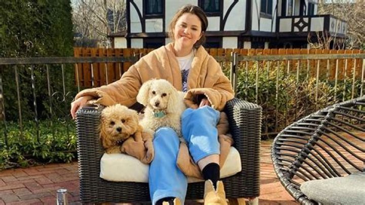 Haley Hudson Pets - Celebrity Pets