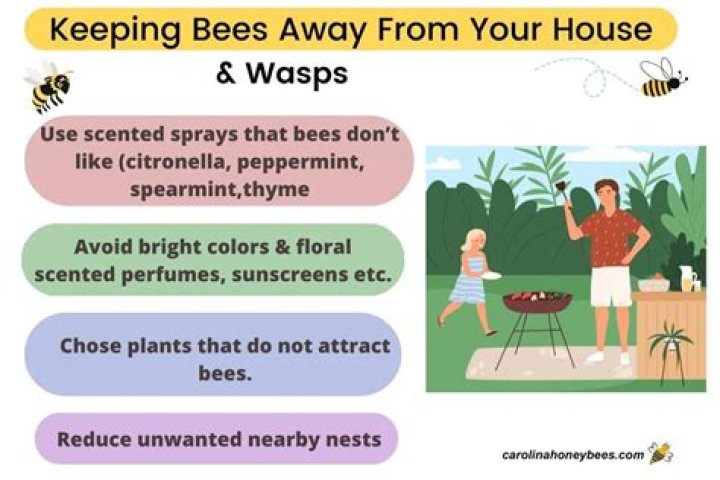 How do I keep wasps away from my balcony?
