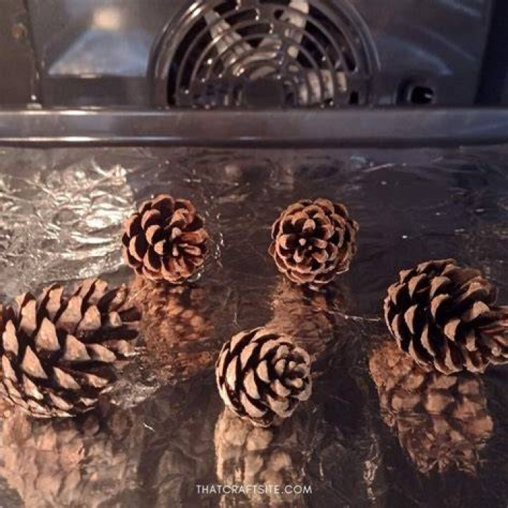 How do you bake pine cones to kill bugs?