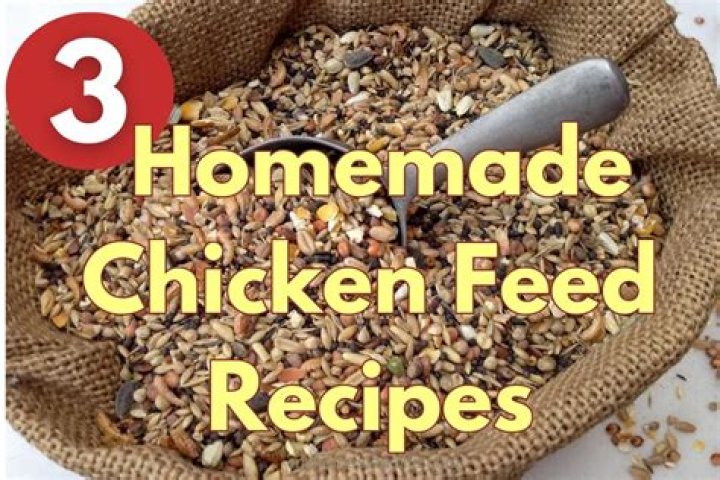 How do you feed mix 30?
