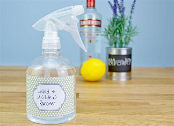 How do you kill mold with vodka?