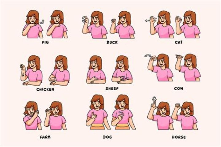 How do you sign Cherry in ASL?