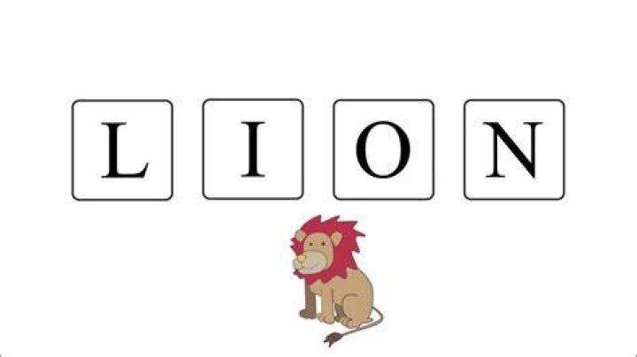 How do you spell lion’s name?