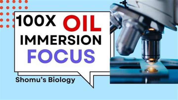 How do you use 100x oil objectives?