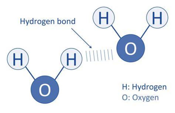 How does soap affect hydrogen bonds between water molecules?