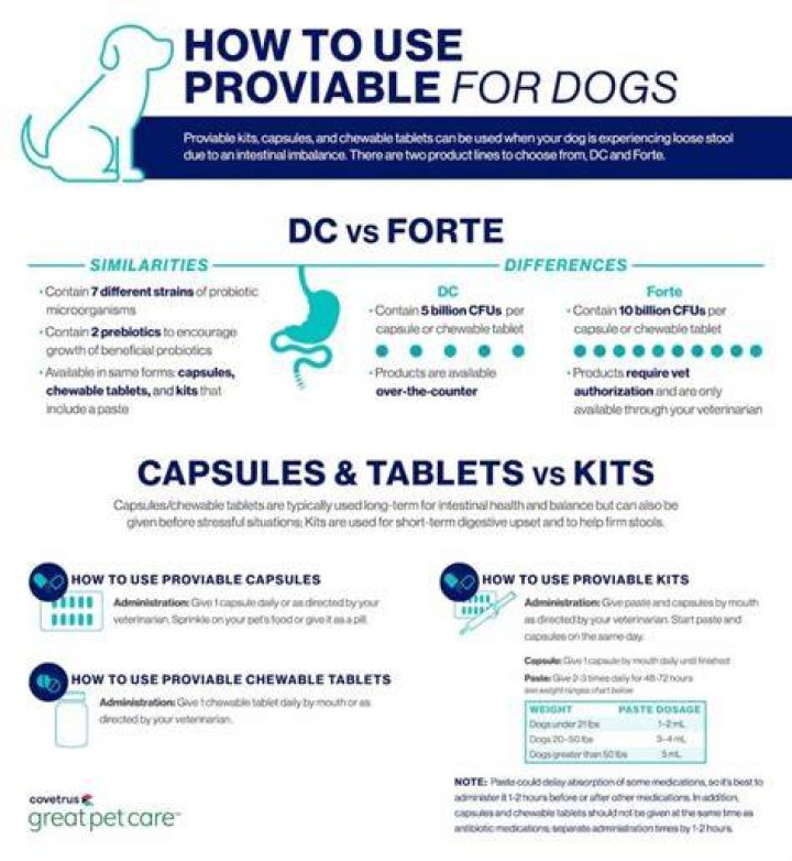 How long does it take for Proviable to work?