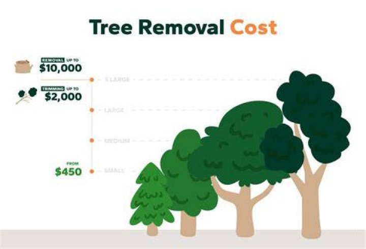 How much does it cost to clean leaves?
