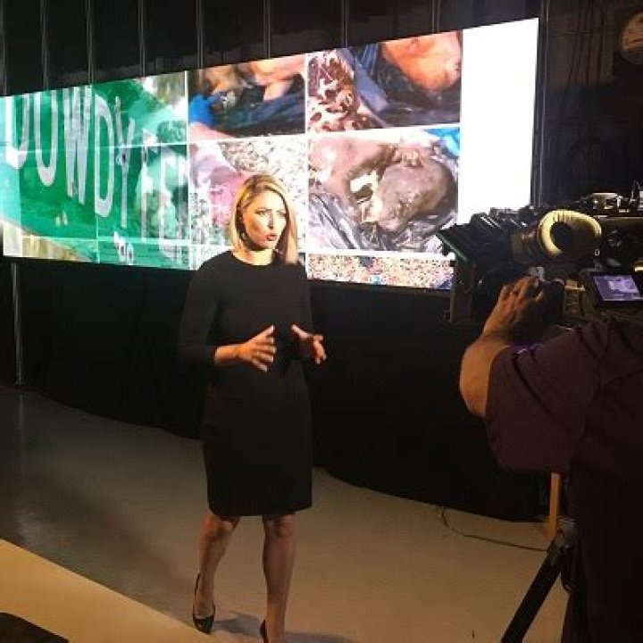 Huffman as an investigative reporter