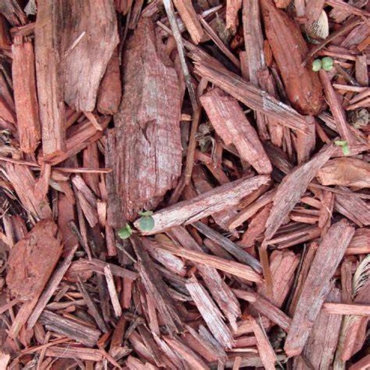 Is cedar mulch better than pine mulch?