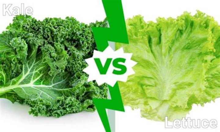 Is Kale better than romaine lettuce?
