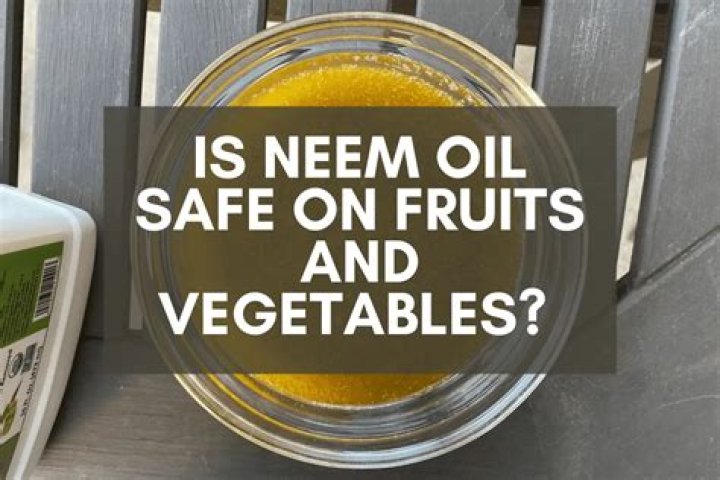 Is Neem oil safe for chickens?