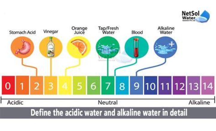 Is oil acidic or alkaline?